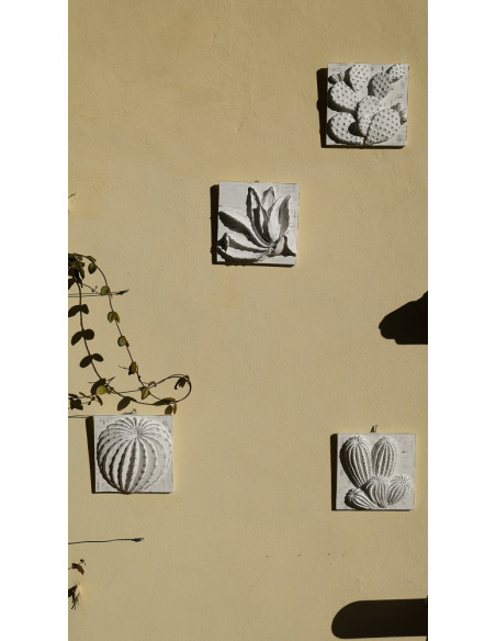 PLAQUE CACTUS