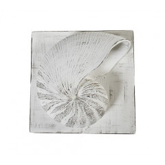 SHELL PLAQUE