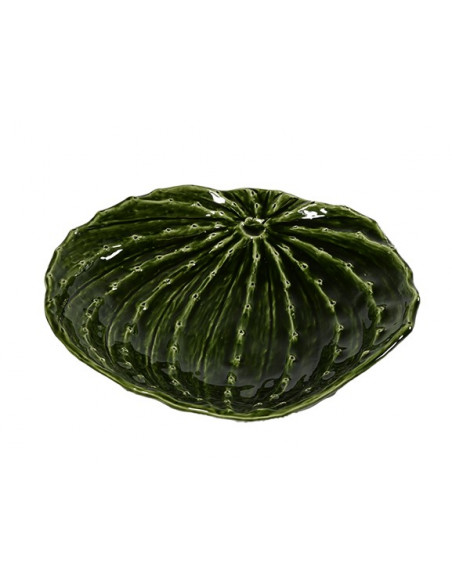 VASSOIO PIANTA GRASSA