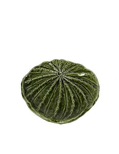 PIATTINO PIANTA GRASSA