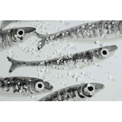 RECTANGULAR PLATTER 2