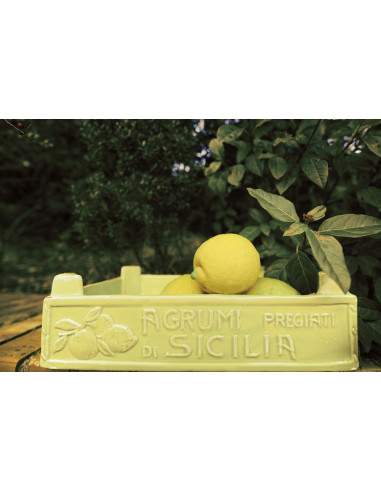 LARGE FRUIT BOX