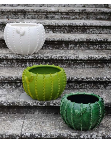 CASPO MEDIO A CACTUS