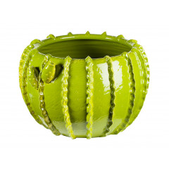 CASPO MEDIO A CACTUS