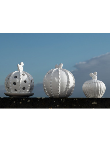 BARATTOLO CACTUS GRANDE