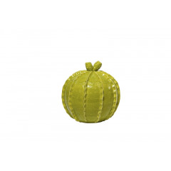 BARATTOLO CACTUS GRANDE