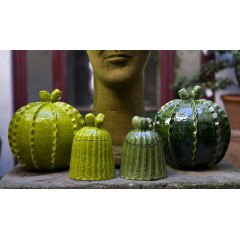 BARATTOLO CACTUS GRANDE 2
