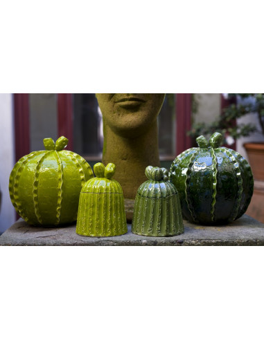 BARATTOLO CACTUS PICCOLO