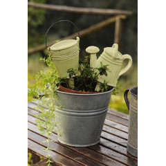 HALTERUNG GEGEN MÜCKEN 2