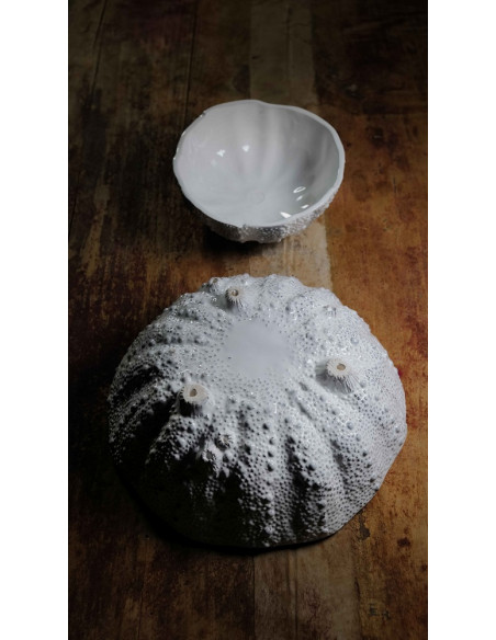 LARGE URCHIN BOWL