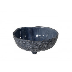 MEDIUM URCHIN BOWL