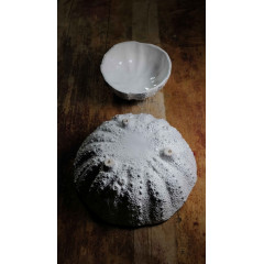 SMALL URCHIN BOWL 2