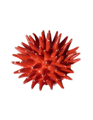 KLEINER SEEIGEL