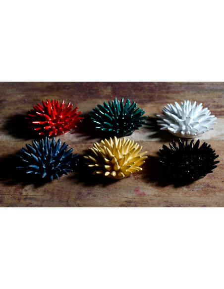 SMALL URCHIN