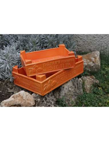 GRANDE CAISSETTE FRUITS