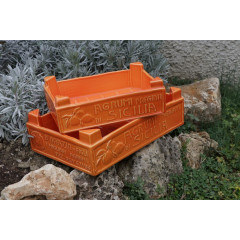 PETITE CAISSETTE FRUITS 2